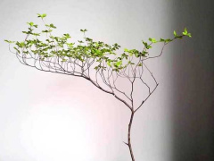 Ảnh bìa bài viết 765230