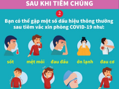 Ảnh bìa bài viết 765931