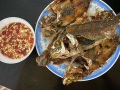 Ảnh bìa bài viết 766101