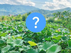 Ảnh bìa bài viết 766285