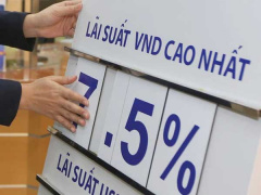 Ảnh bìa bài viết 766361