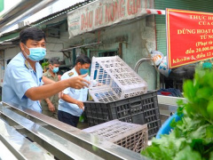 Ảnh bìa bài viết 766420