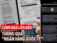 Ảnh bìa bài viết 766694