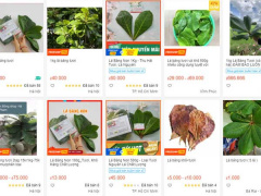 Ảnh bìa bài viết 766501