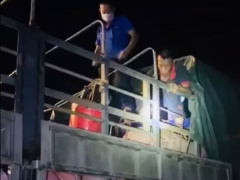 Ảnh bìa bài viết 766608