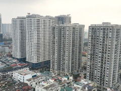 Ảnh bìa bài viết 766882