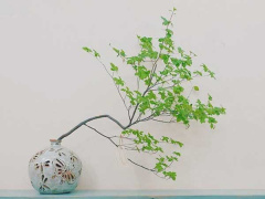 Ảnh bìa bài viết 766798