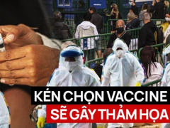 Ảnh bìa bài viết 766763