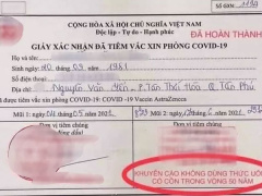 Ảnh bìa bài viết 766736