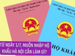 Ảnh bìa bài viết 766987