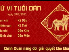 Ảnh bìa bài viết 767938