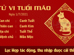 Ảnh bìa bài viết 768161