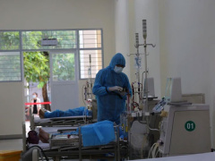 Ảnh bìa bài viết 768454