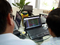 Ảnh bìa bài viết 768529