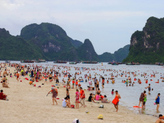 Ảnh bìa bài viết 768465