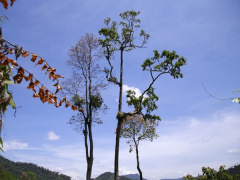 Ảnh bìa bài viết 768561