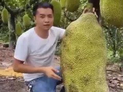 Ảnh bìa bài viết 768793