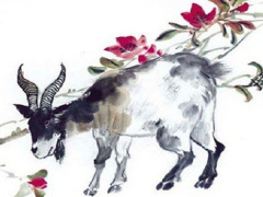 Ảnh bìa bài viết 768906