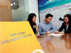 Ảnh bìa bài viết 769022
