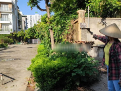 Ảnh bìa bài viết 769156