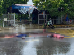 Ảnh bìa bài viết 769142
