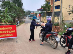 Ảnh bìa bài viết 768993
