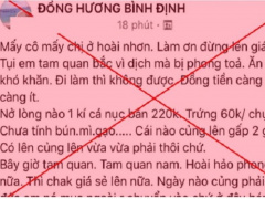 Ảnh bìa bài viết 769256
