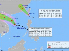 Ảnh bìa bài viết 769214
