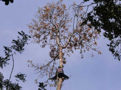 Ảnh bìa bài viết 769338