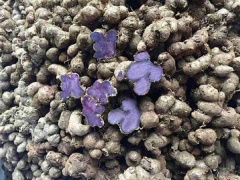 Ảnh bìa bài viết 769221