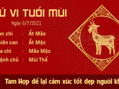 Ảnh bìa bài viết 769188
