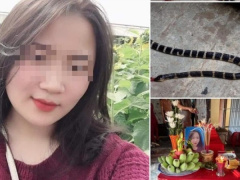 Ảnh bìa bài viết 769861
