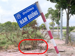 Ảnh bìa bài viết 770287