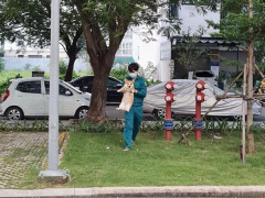 Ảnh bìa bài viết 770521