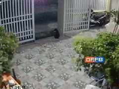 Ảnh bìa bài viết 770470