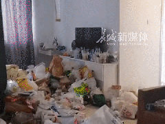 Ảnh bìa bài viết 770865