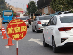 Ảnh bìa bài viết 770961