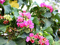 Ảnh bìa bài viết 771243