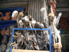 Ảnh bìa bài viết 771230