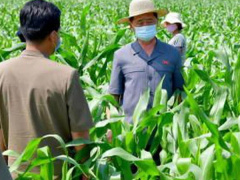 Ảnh bìa bài viết 771134