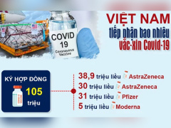 Ảnh bìa bài viết 771274