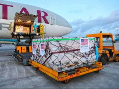 Ảnh bìa bài viết 771532