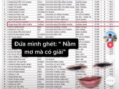 Ảnh bìa bài viết 771378