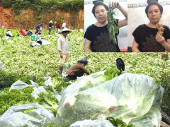 Ảnh bìa bài viết 771615