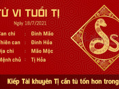 Ảnh bìa bài viết 771688