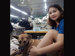 Ảnh bìa bài viết 771801