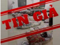 Ảnh bìa bài viết 771924