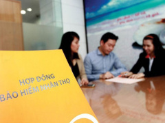 Ảnh bìa bài viết 772160