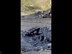 Ảnh bìa bài viết 772366