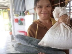 Ảnh bìa bài viết 772172